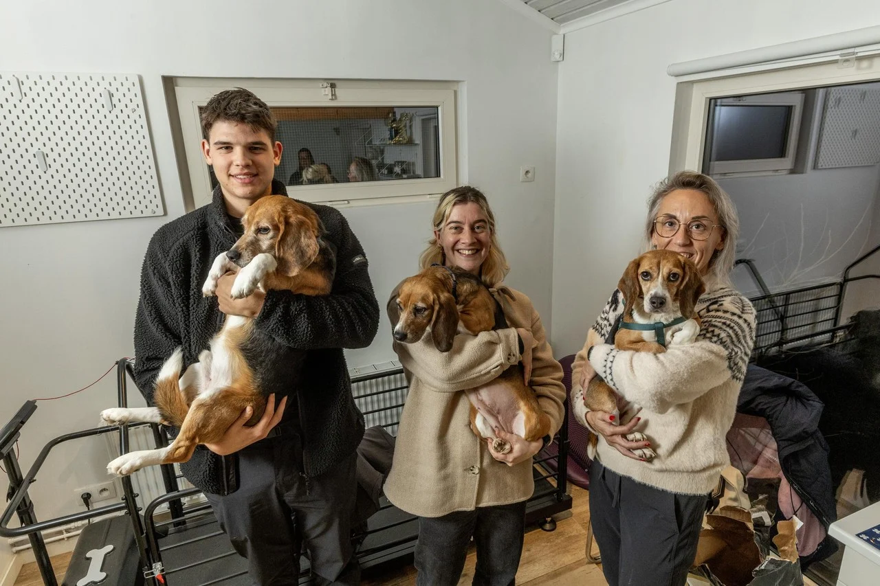Animal Welfare Projects gaf al 200 ex-proefbeagles een nieuwe thuis